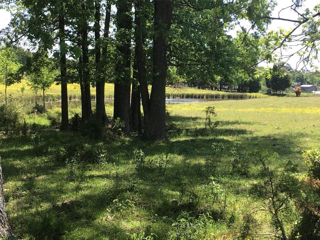 0 Fm 858 & Vz County Road 4212 - Photo 1