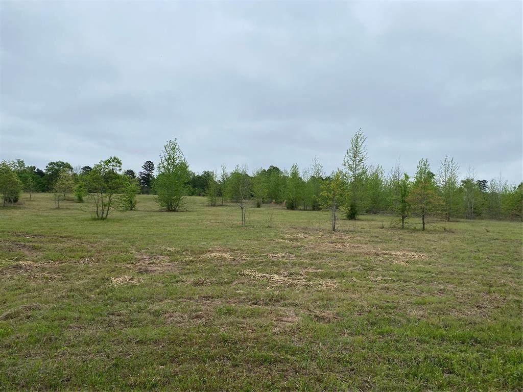 249 Private Road 7544 - Photo 1