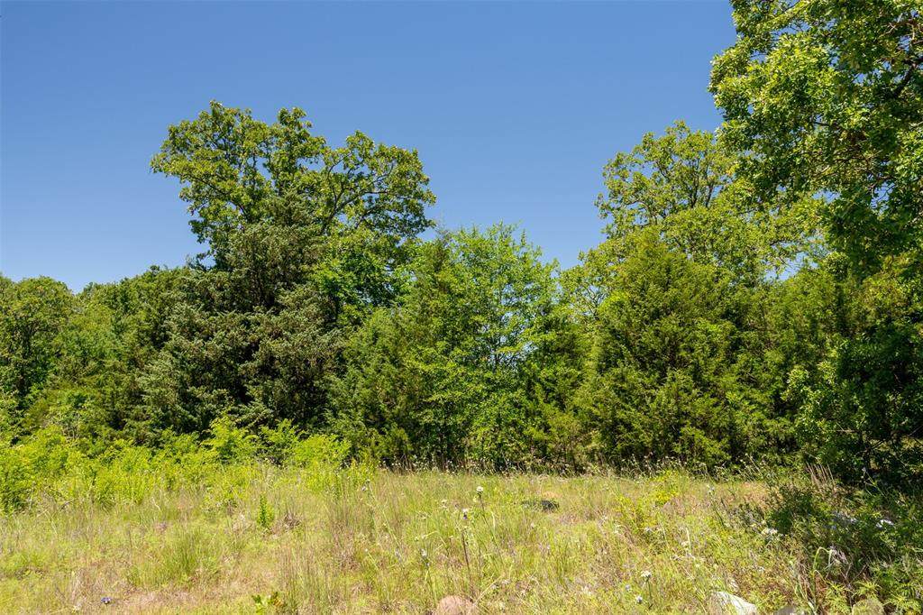 00000 Blue Bird Lane - Photo 1