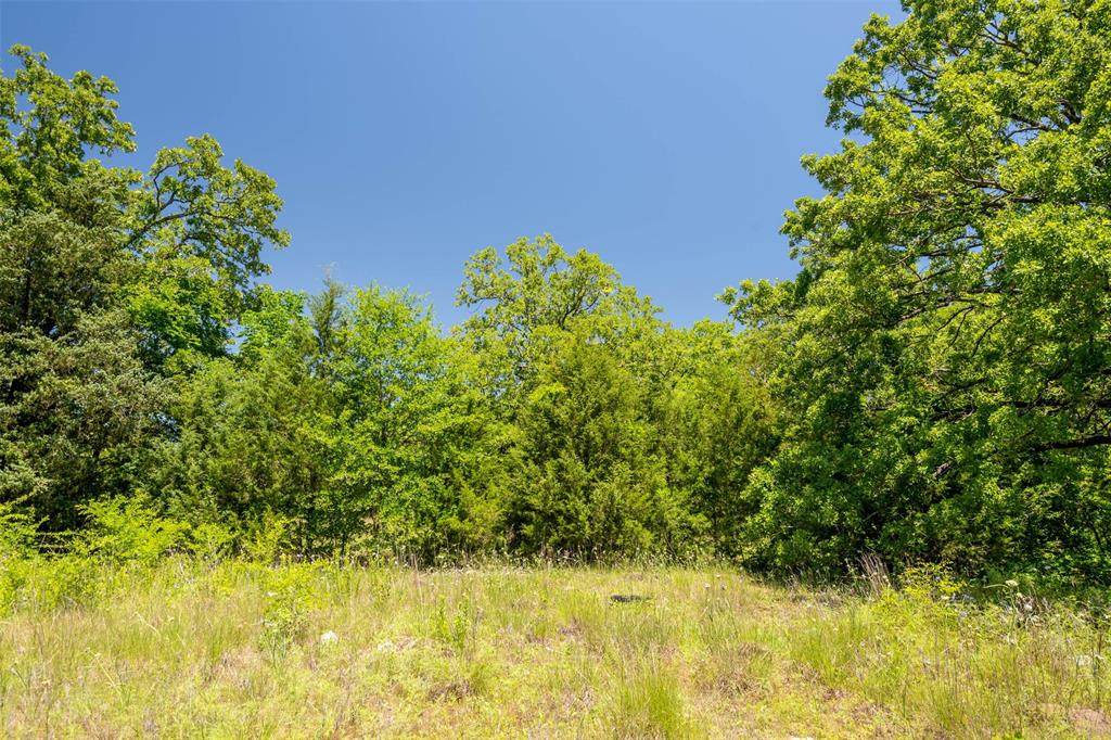 000 Blue Bird Lane - Photo 1