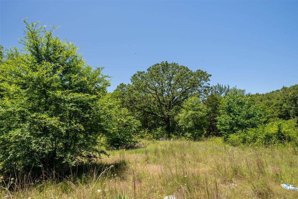 00001 Blue Bird Lane - Photo 1