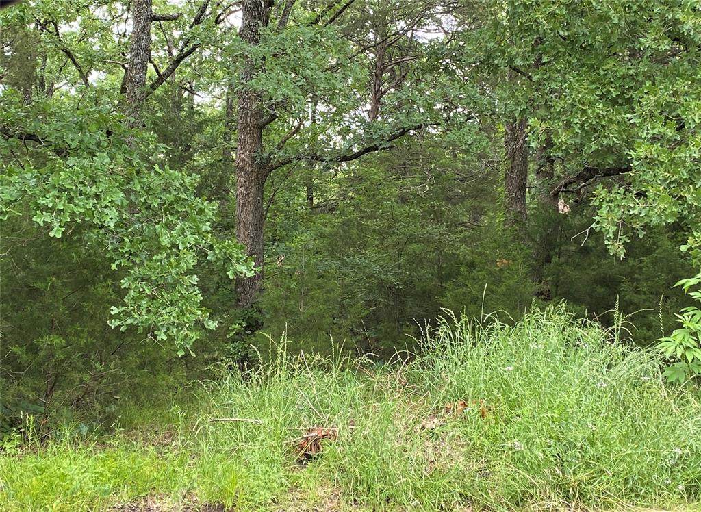 0000 Meadow Lark Drive - Photo 1