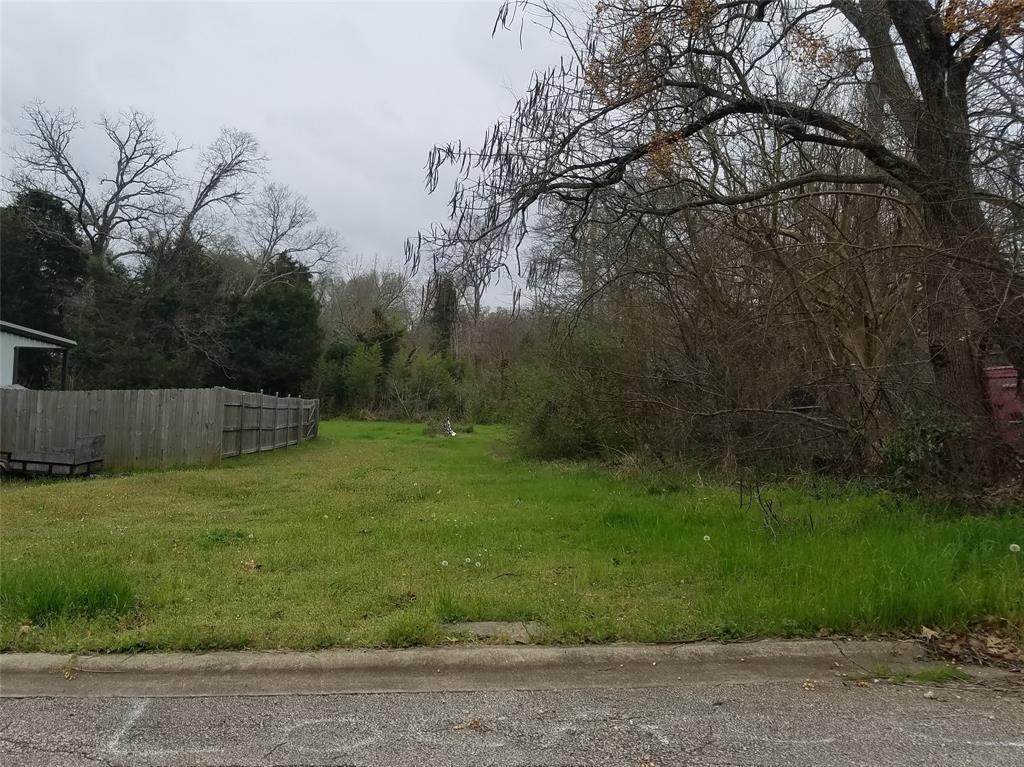 TBD St Hwy 19 - Photo 1
