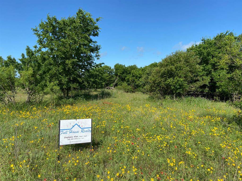 Lot 124 Meadow Lane - Photo 1