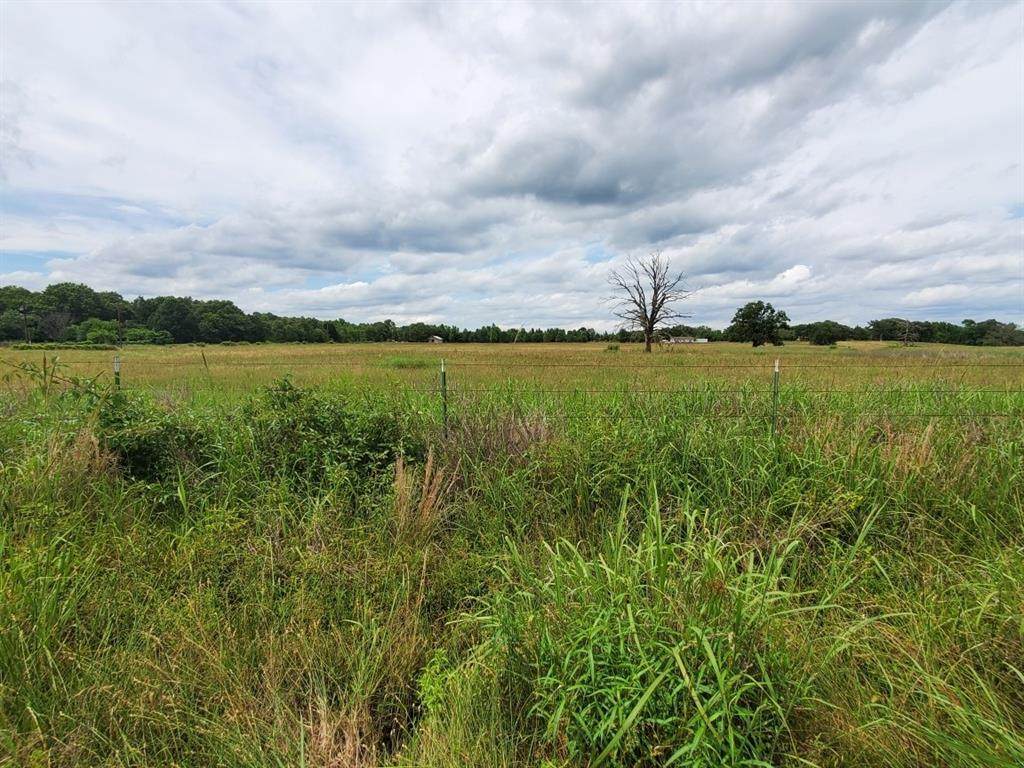 Tract 2 Vz County Road 4305 - Photo 1