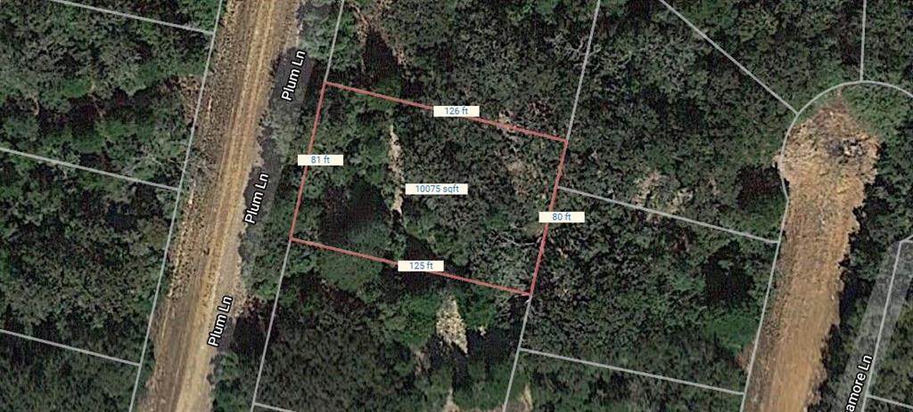 Lot 7 Plum Lane - Photo 1