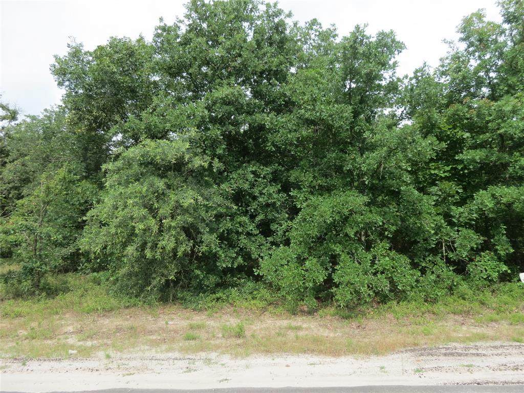 605 County Road 3580 - Photo 1