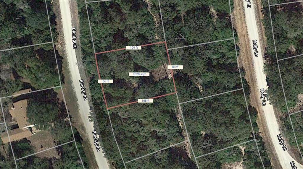 Lot 9 Blackgum Drive - Photo 1