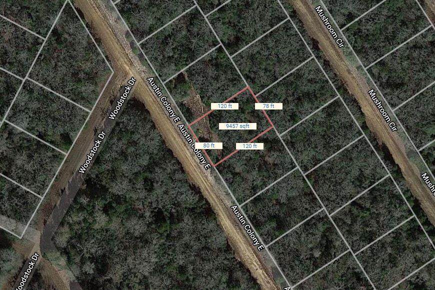 Lot 40 Austin Colony - Photo 1