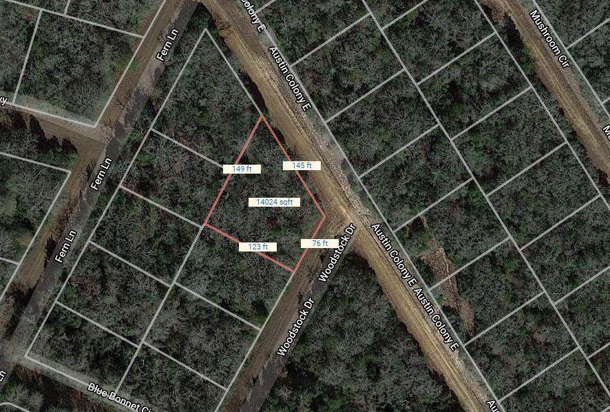 Lot 6 Woodstock & Austin - Photo 1