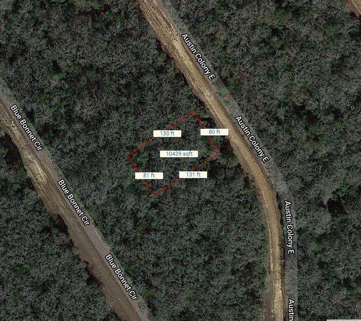 Lot 4 Austin Colony - Photo 1