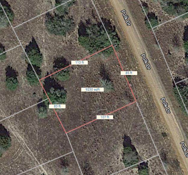 Lot 32 Polk Drive - Photo 1