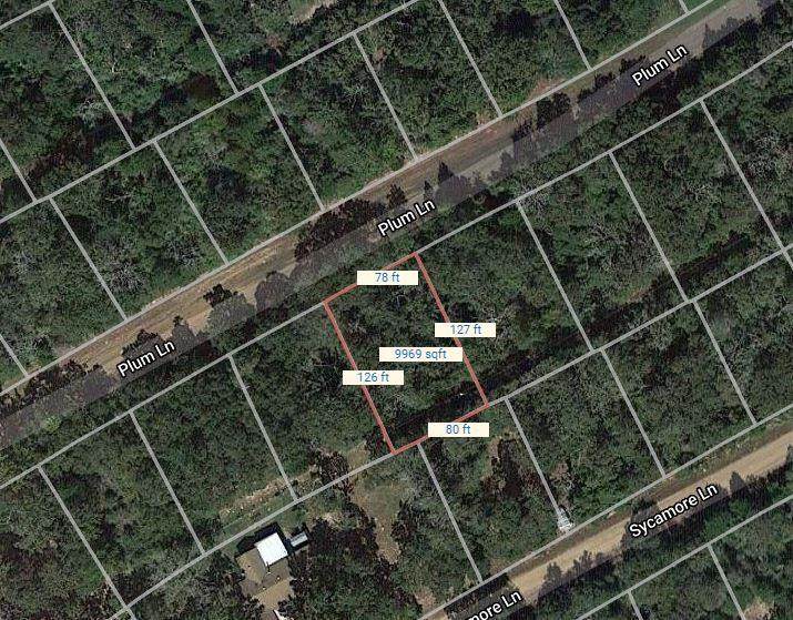 Lot 59 Plum Lane - Photo 1