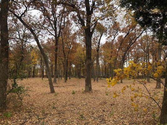 3823 Loop 286 - Photo 1