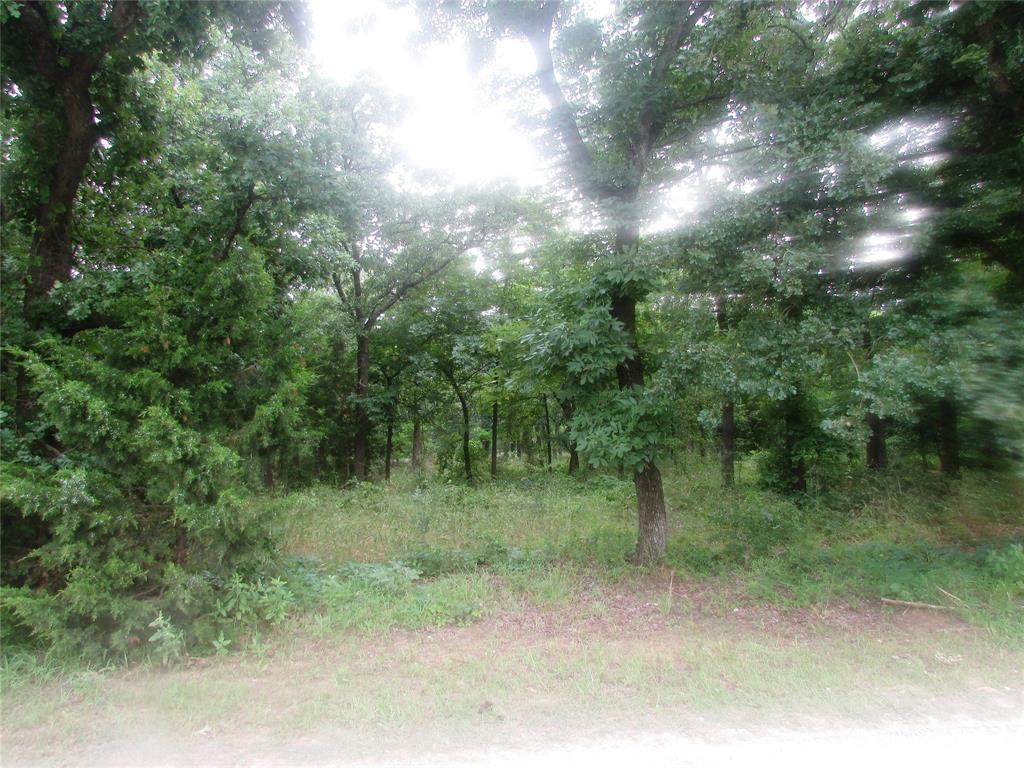 0.4 ac Brenda Lane - Photo 1