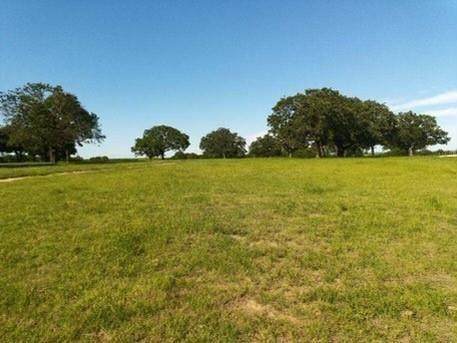 TBD Roth Road - Photo 1