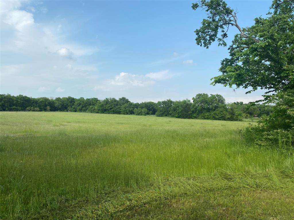 1636 Old Denton Road - Photo 1