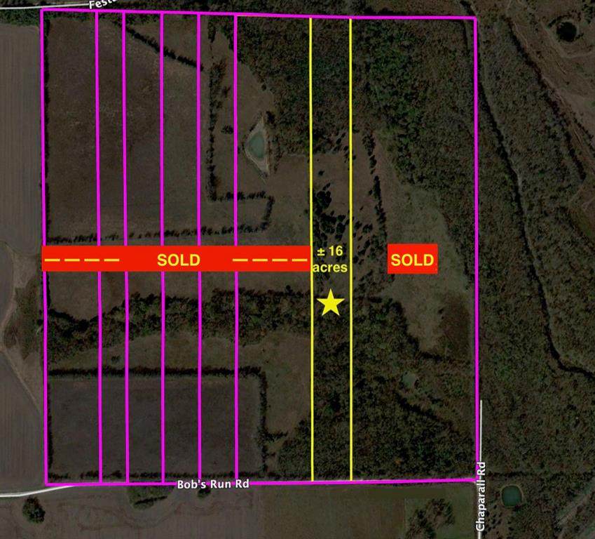16 acre Bobs Run Road - Photo 1