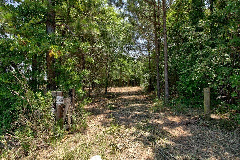 TBD Stipp Road - Photo 1