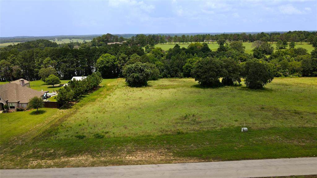 Lot 156 Lago Vista Drive - Photo 1