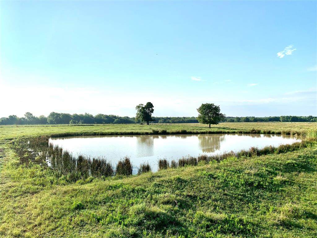 17.5ac County Road 1157 - Photo 1
