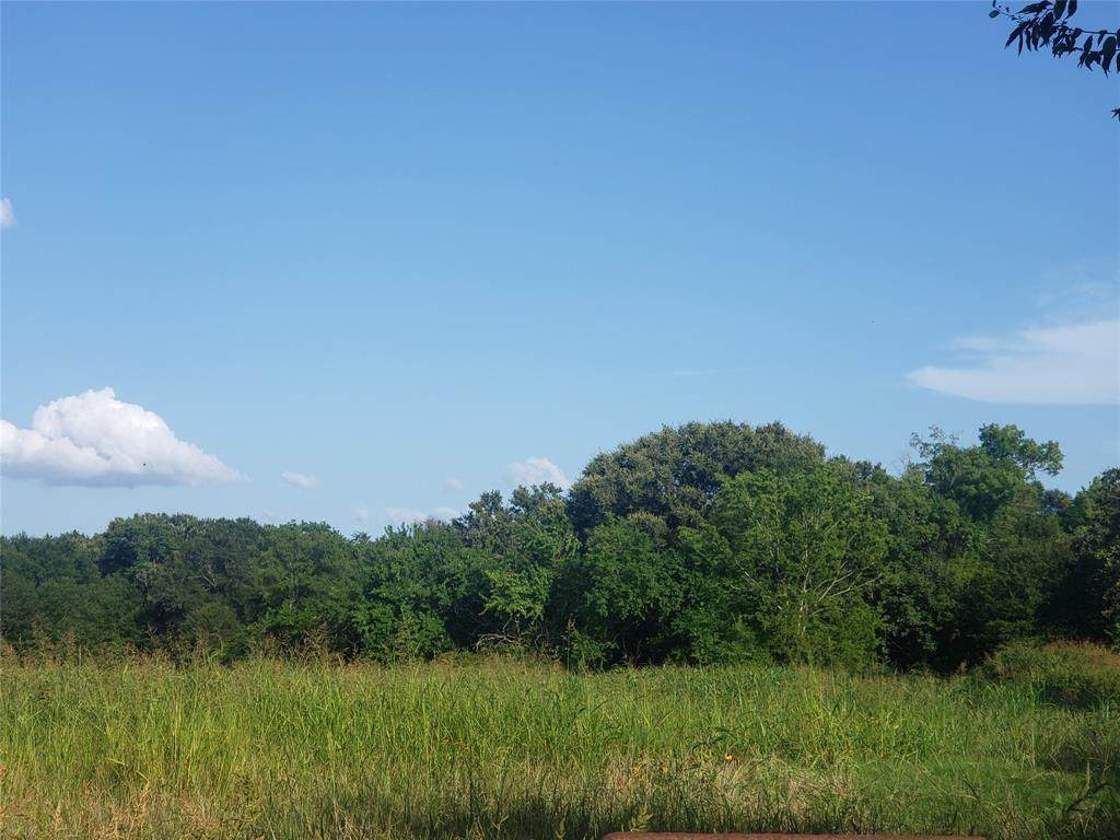 TBD Farm Road 71 - Photo 1