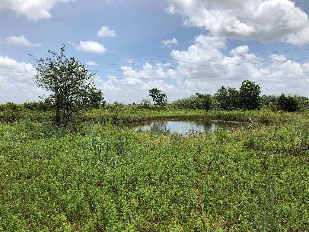407 County Road 465 - Photo 1