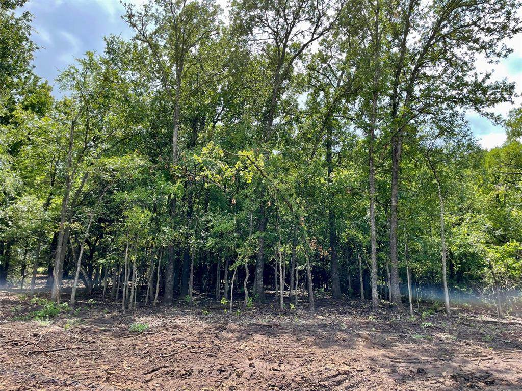 Lot 11 Pernell Court - Photo 1