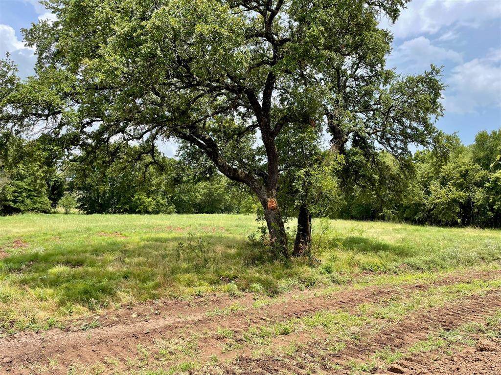 Lot 40 Hemet Way - Photo 1