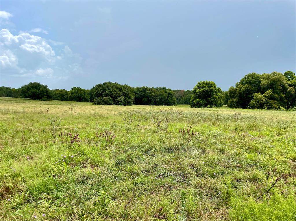 Lot 44 Cartwright Road - Photo 1