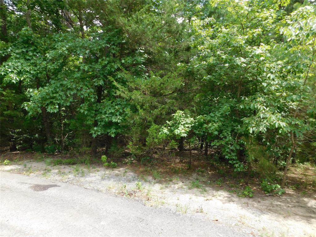 0000 Greenbriar Cove - Photo 1