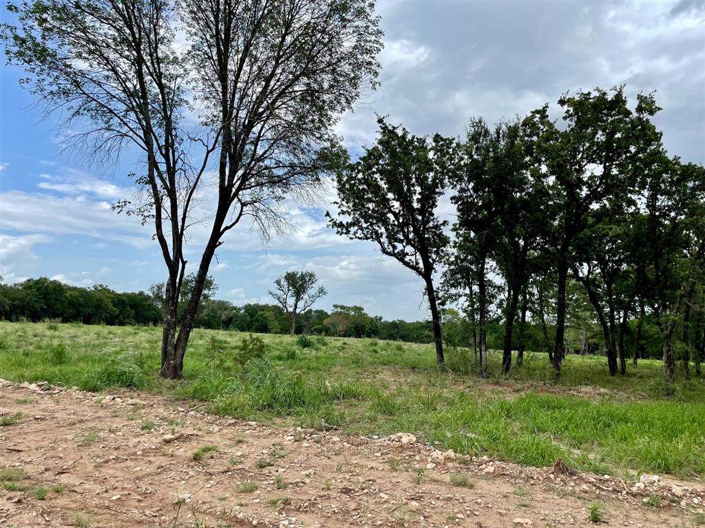 Lot 54 Greene Road - Photo 1