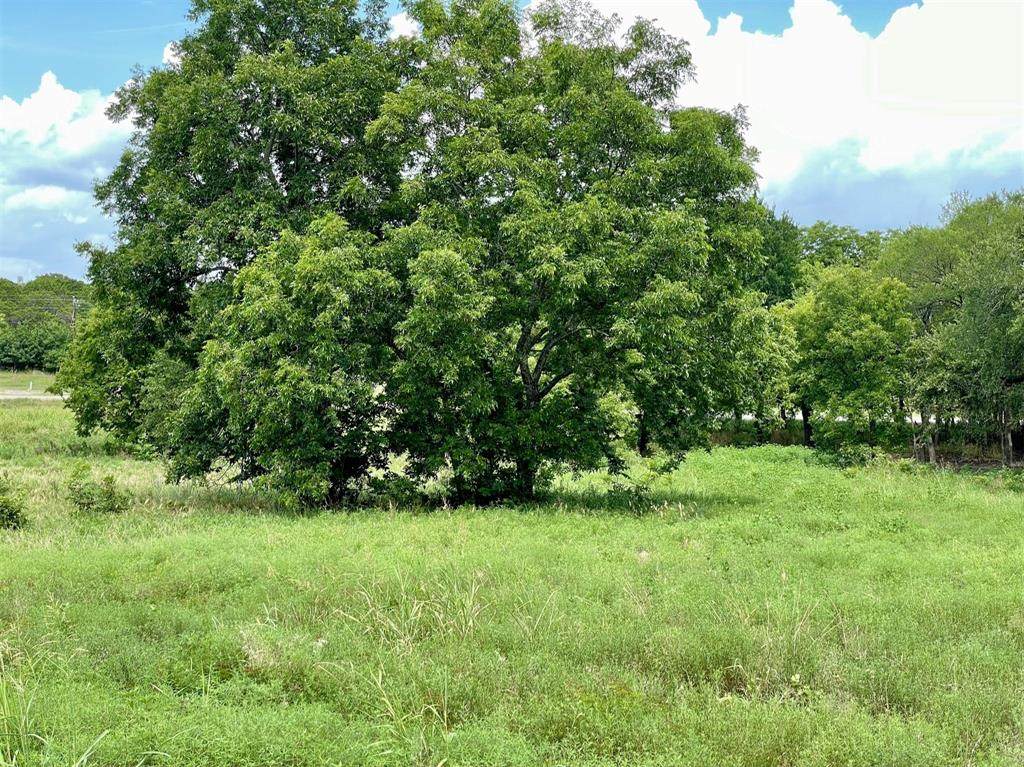 Lot 66 Greene Road - Photo 1
