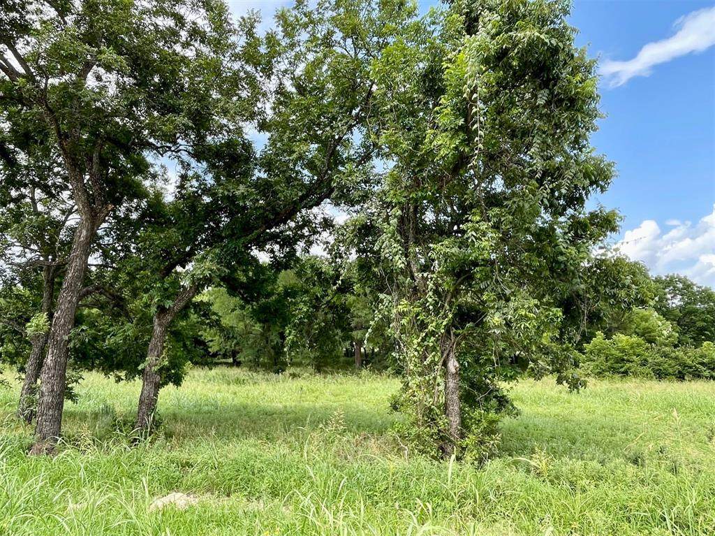 Lot 67 Greene Road - Photo 1