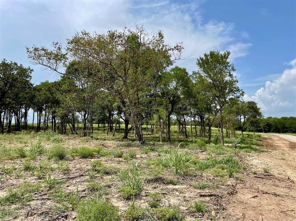 Lot 77 Greene Road - Photo 1