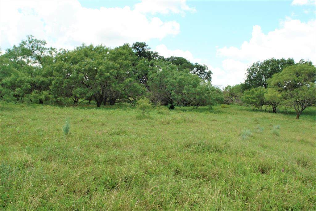 TBD Private Rd. 533 - Photo 1