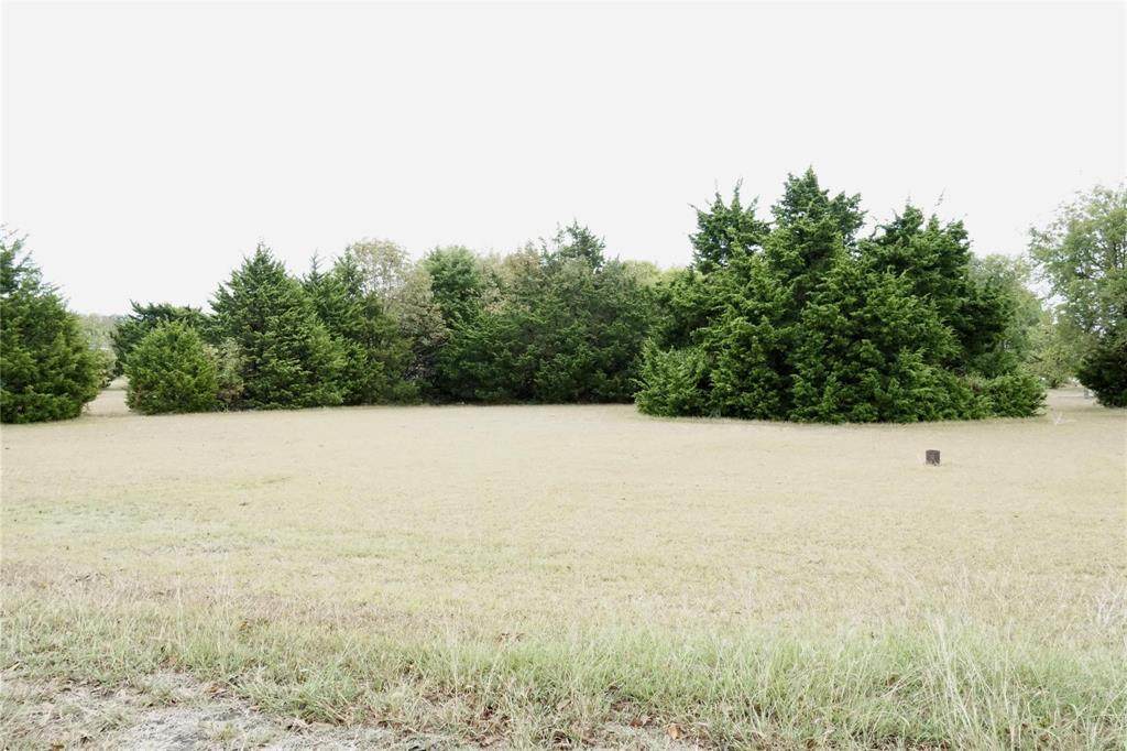 3226 Belvedere Road - Photo 1