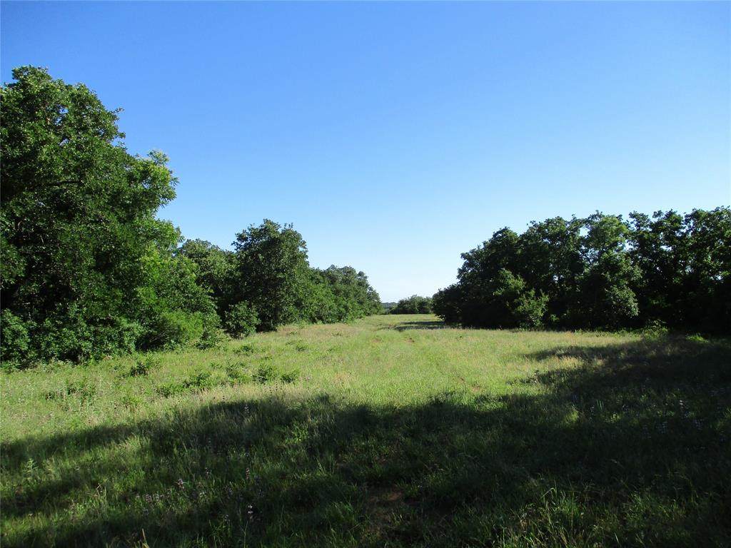 72 AC Old Joy Shannon - Photo 1