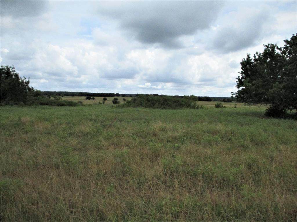 Tr 8 Cox Lane - Photo 1