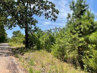 Lot 11 County Road 1350 - Photo 1
