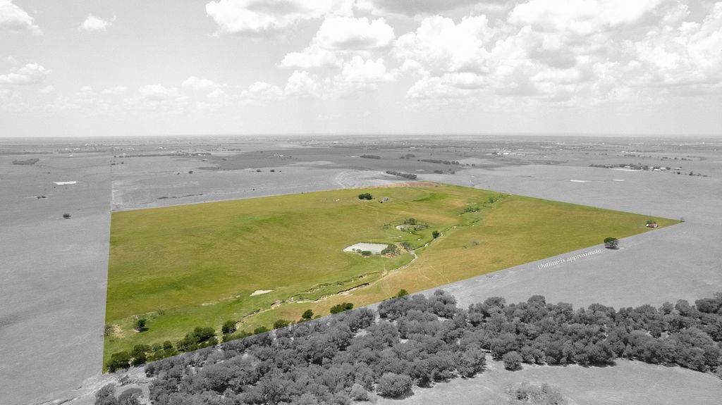 TBD County Road 405 - Photo 1