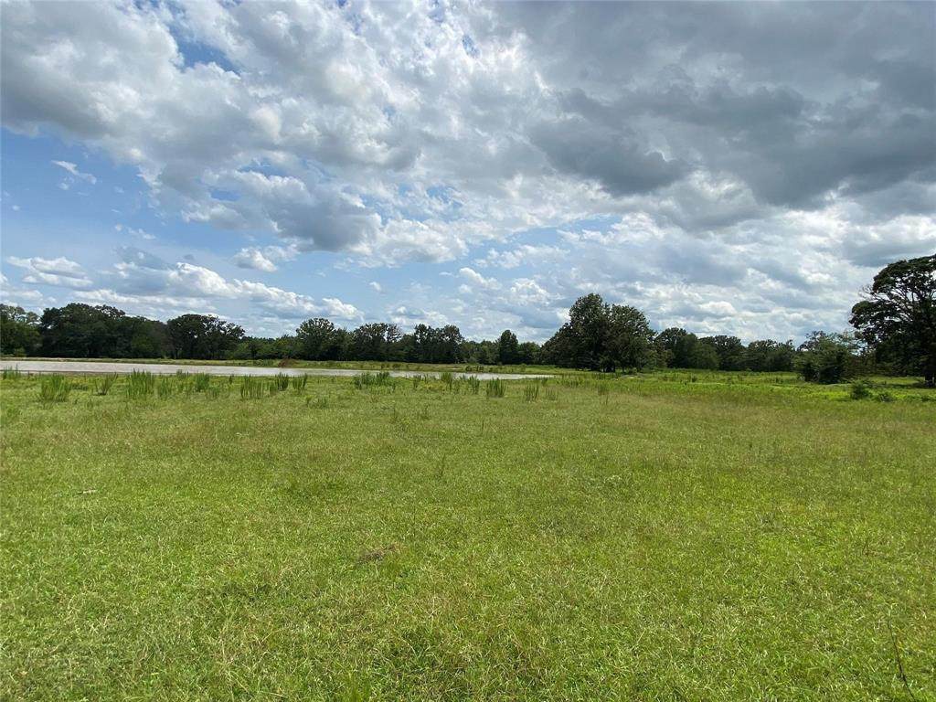 TBD County Road 1060 - Photo 1