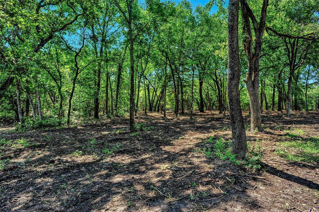 TBD 3.594 Acres - Photo 1