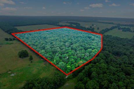 TBD County Road 4615 - Photo 1