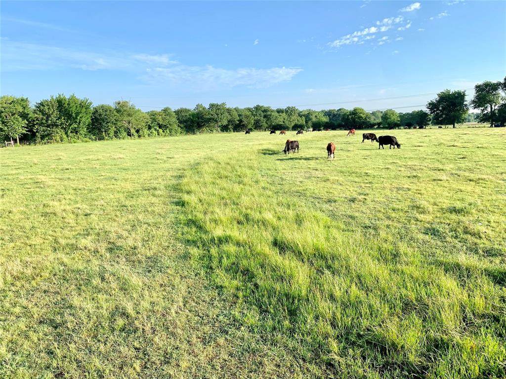 Acreage County Road 1157 - Photo 1