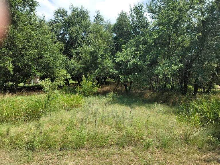 17135 Woodlawn Drive - Photo 1