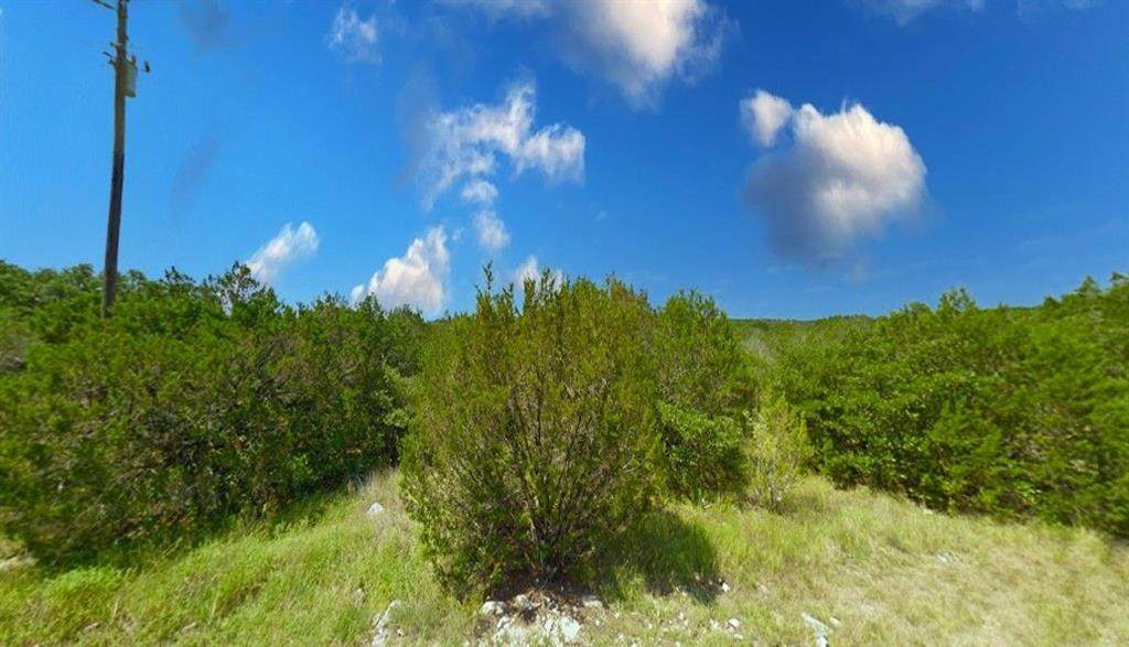 913 Thicket Trail - Photo 1