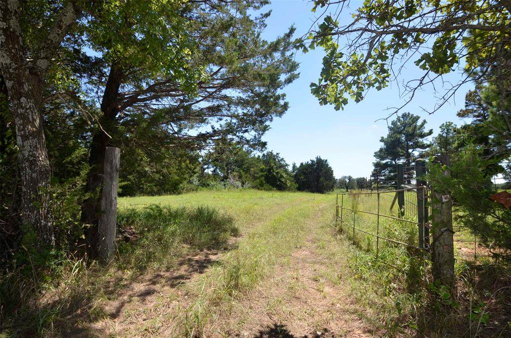 50 Ac County Road 130 - Photo 1