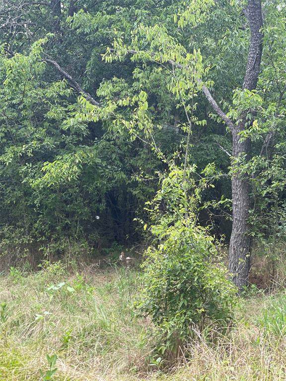 000 Co Road 4058 - Photo 1