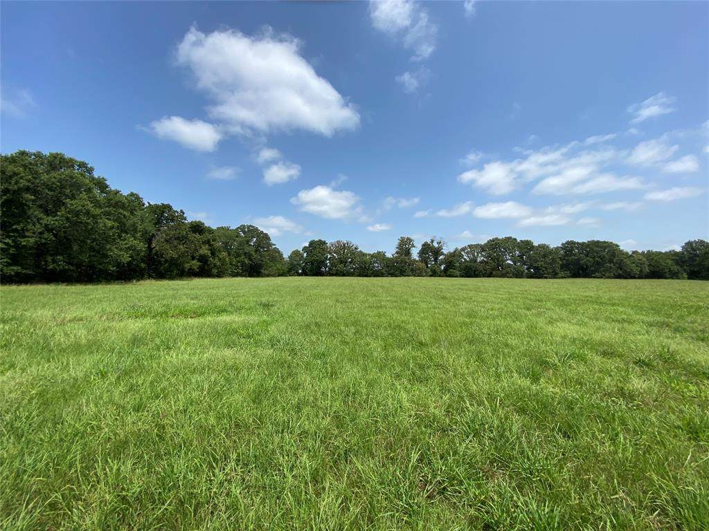 32ac County Road 2425 - Photo 1